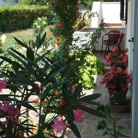 Medusa Appartement Rovinj