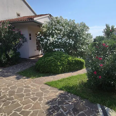 Appartement Medusa *